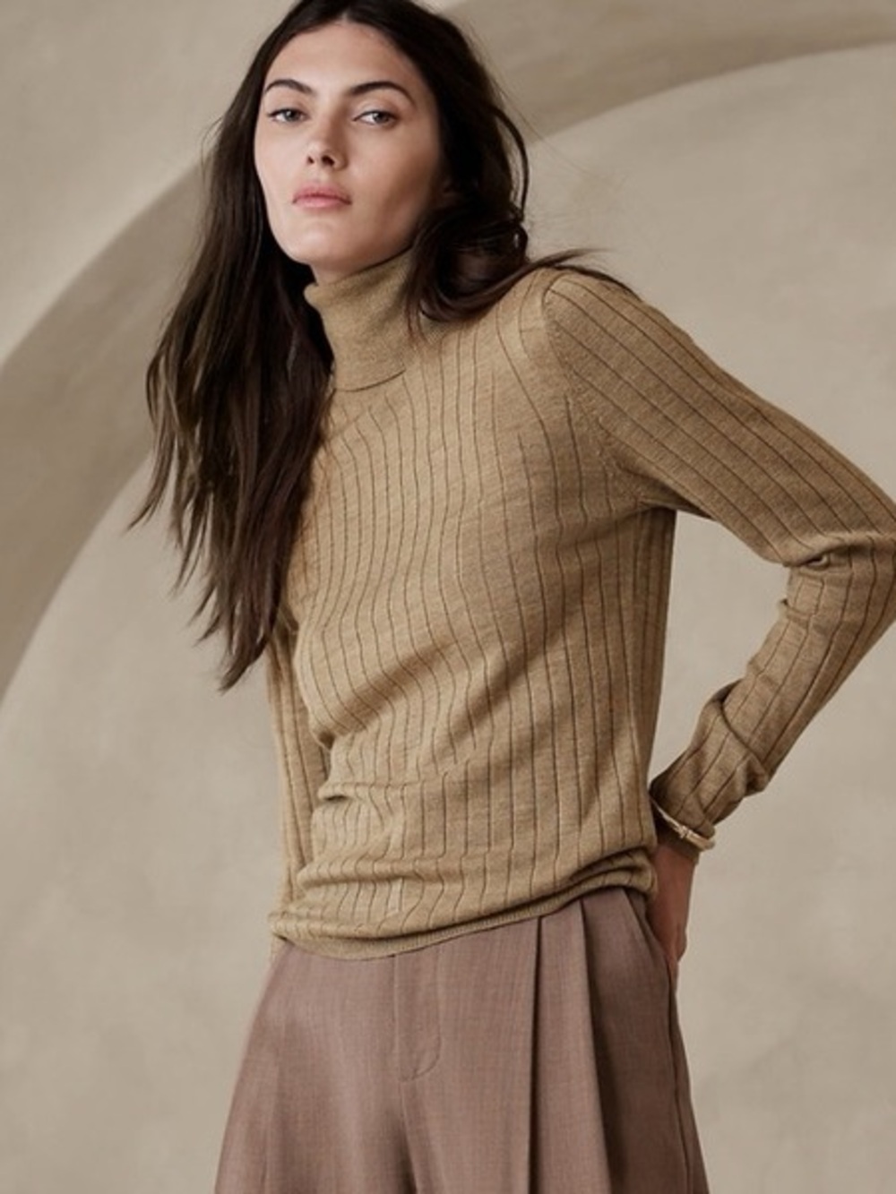 Banana Republic Nezha Merino Wool Turtleneck Sweater Small
